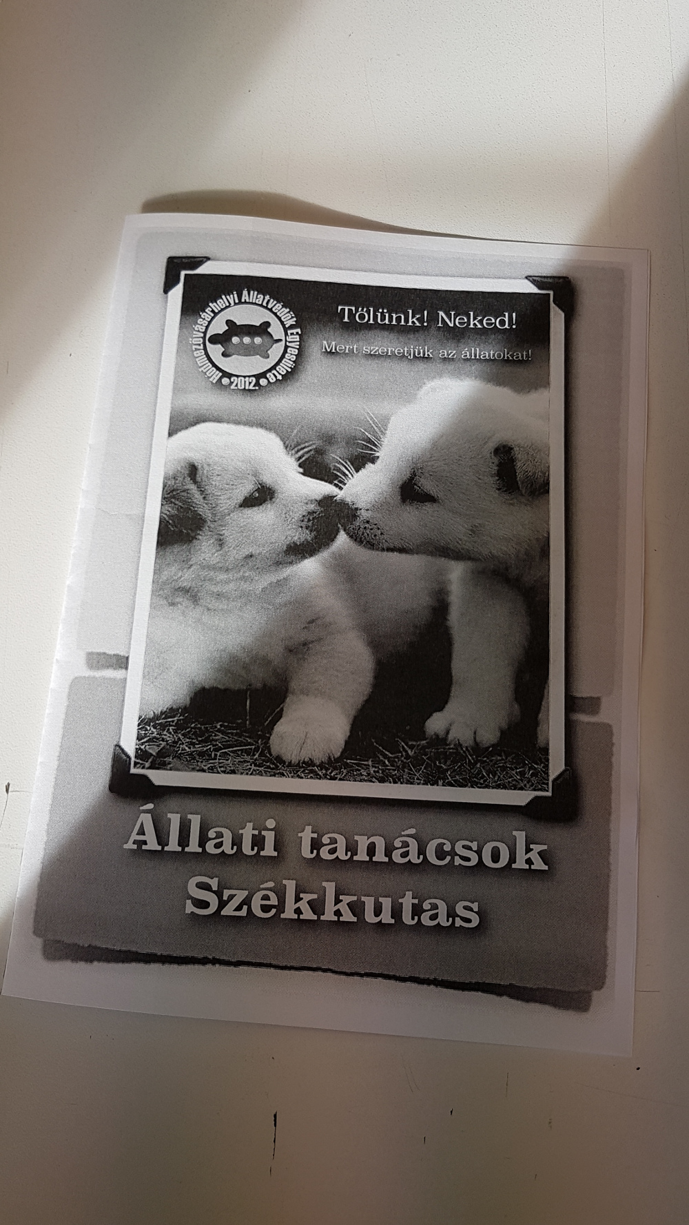 klasszikus-szorolap1